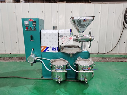 Máquina de prensado en frío de aceite de salvado de arroz 100-500TPD Fabricante en Bolivia