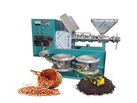 Máquina de refinación de aceite de semillas de ricino 100TPD con certificación BV CE Fabricante