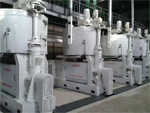 Máquina exprimidora de aceite de semillas de ricino con patente ISO9001 en Colombia