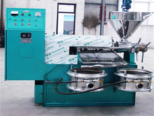 La máquina de extracción de aceite de prensa en frío de buena calidad con un buen fabricante.