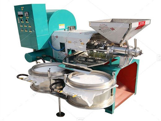 Máquina prensadora de aceite para semillas de girasol, soja, maní, fabricante