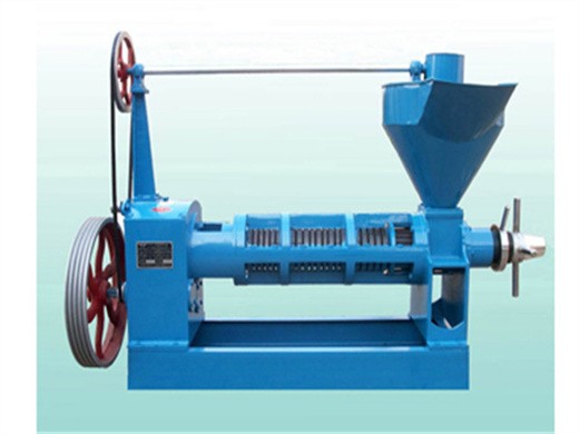 Máquina prensadora de aceite de 500kg/h fabricada en China Fabricante en Nicaragua