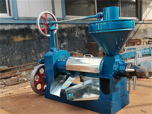 Máquina de extracción de aceite de salvado de arroz de 500t/d en Paraguay