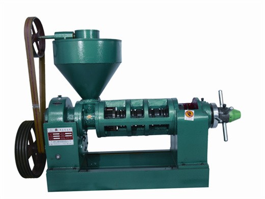 Máquina de prensa de aceite de colza con precio de diseño de fábrica Instalación Fabricante