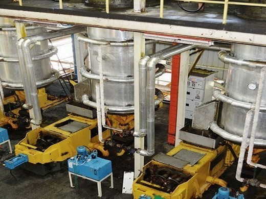Máquina de extracción de aceite de soja Gran proveedor en Cuba