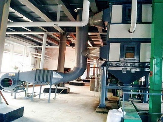 Máquina prensadora de aceite de semilla de cáñamo económica y práctica en Bolivia