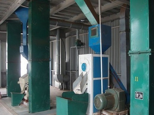 Máquina de extracción de aceite de oliva con fibra de coco y agua de coco en Honduras