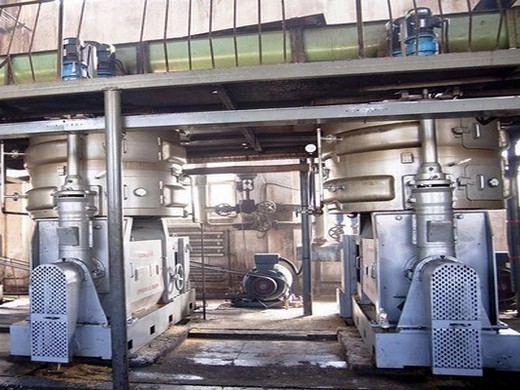 Máquina expulsora de aceite de coco/línea de producción de aceite de sésamo en Bolivia