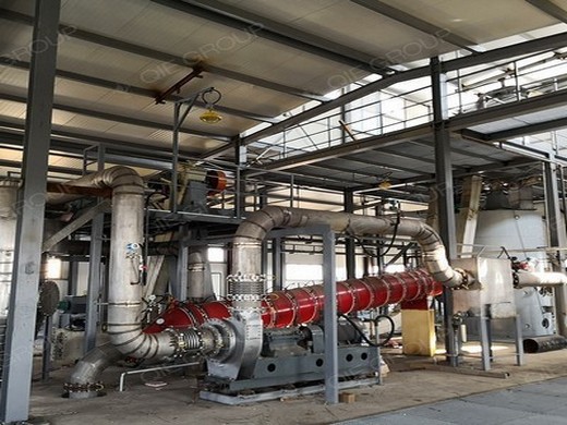 Prensa de aceite de linaza/máquina prensadora de aceite en República Democrática del Congo