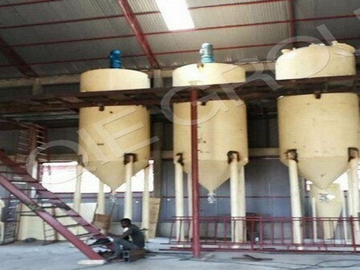 Planta de equipos de procesamiento de aceite de ricino/máquinas de refinación en Bolivia