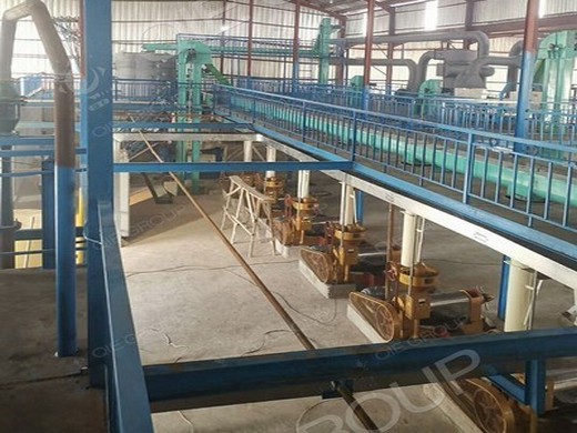 Máquina prensadora de aceite de soja verde y saludable en Argentina