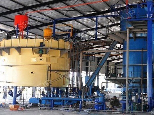 Nueva maquinaria y línea de llenado de aceite de oliva desarrollada en Honduras