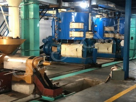 Máquina prensadora de aceite de jatrofa en España.