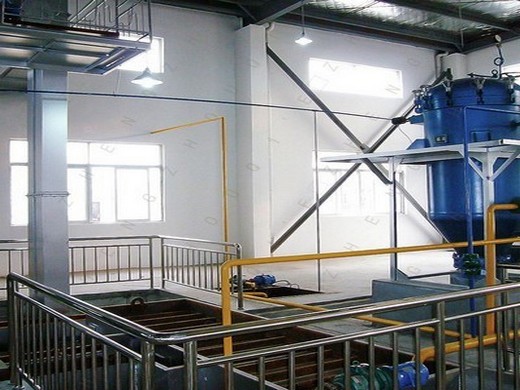Pequeña máquina de extracción de aceite de aguacate y coco en Argentina