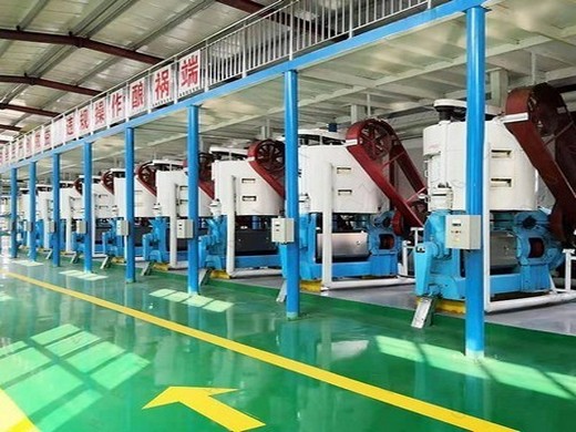 maquina para prensar aceite de girasol 3-3000 tpd con ISO y CE en Argentina