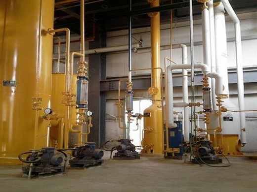 Máquina de extracción de aceite de soja a precio de fábrica de buena calidad a la venta