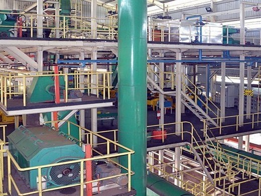 Línea de producción de aceite de almendras de venta caliente con buena máquina Fabricante