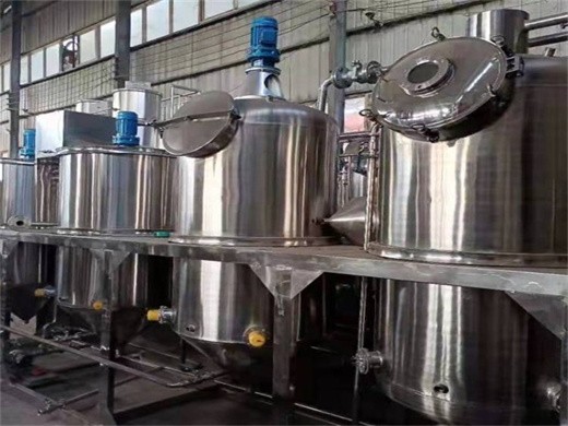Fabricante de máquinas prensadoras de aceite de semilla de calabaza en Bolivia
