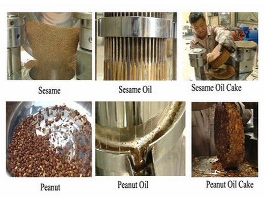 Máquina de refinería de aceite crudo de cocina en Paraguay