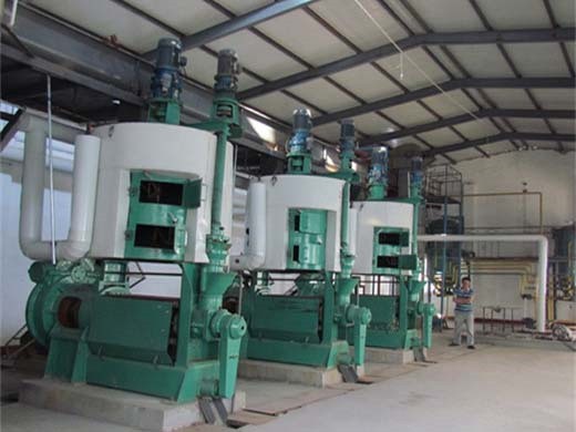 Máquina semiautomática de prensa de aceite de tornillo de semilla de girasol 15-20t/d en Bolivia