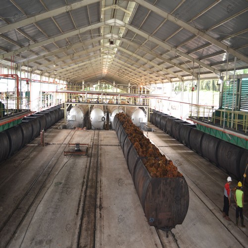 2012 venta de máquina de extracción de aceite de palmiste en Bolivia
