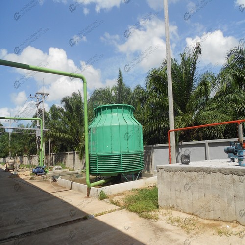 Máquina de extracción de aceite/máquina prensadora de tornillo de aceite de palma en Argentina